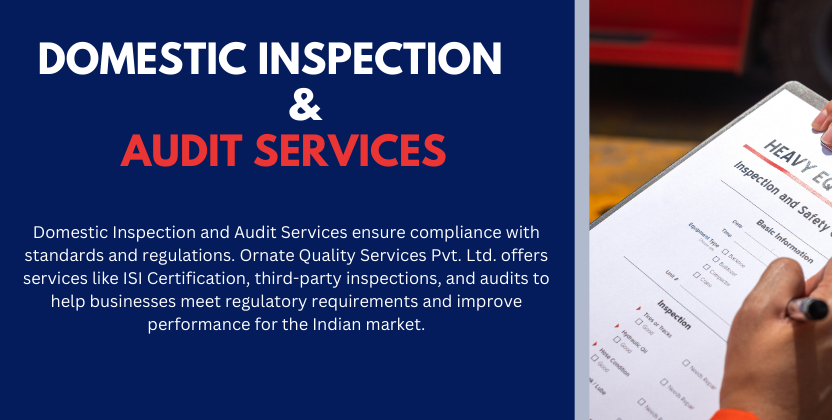 domestic-audit-services